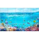 Tile mural with tropical fish and coral reef in the blue ocean